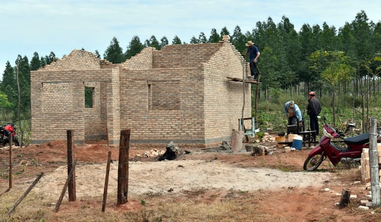 Volatilidad en la construcción: entre picos históricos y caídas prolongadas
